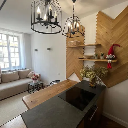 Apartment Lvapart 2 вул ковжуна 2 кім центр не далеко від ж д вокзалу палацу мистецтв звітні документи